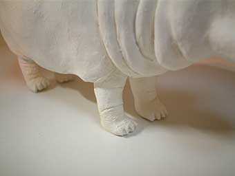 カバの紙粘土細工 カバの紙粘土細工 ホンモノそっくりの紙粘土細工のサカナと新シリーズ